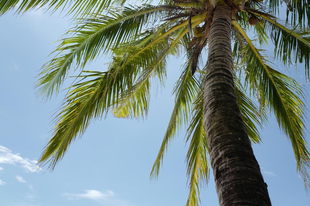 Nature Beach Resort Koh Chang Exterior foto